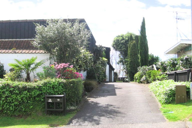 Photo of property in 27 Vine Avenue, Maungatapu, Tauranga, 3112