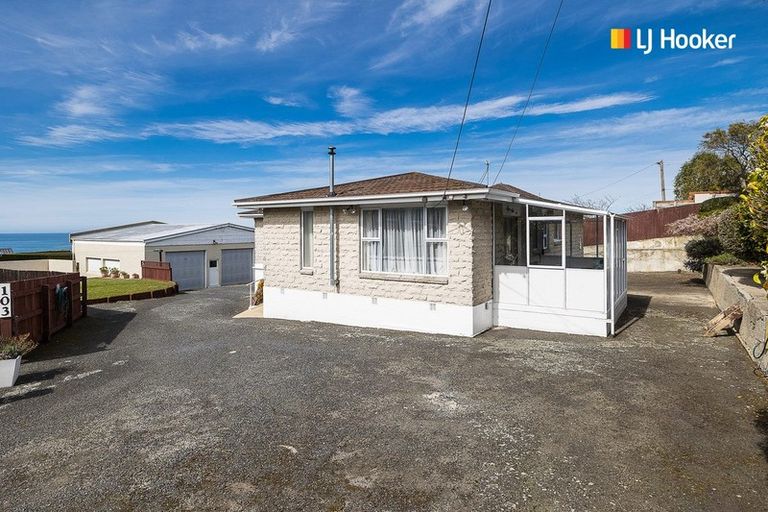 Photo of property in 103 Tomahawk Road, Andersons Bay, Dunedin, 9013