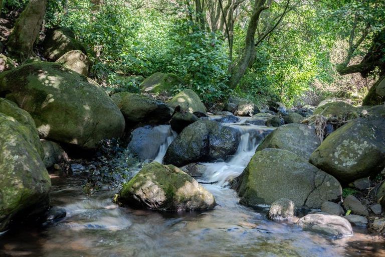 Photo of property in 43 Aylmers Valley Road, Akaroa, 7520