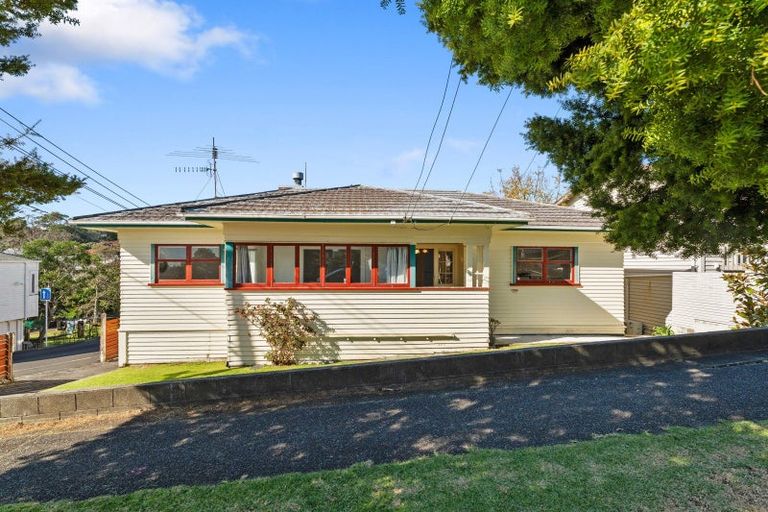 Photo of property in 13 Akarana Avenue, Mount Roskill, Auckland, 1041