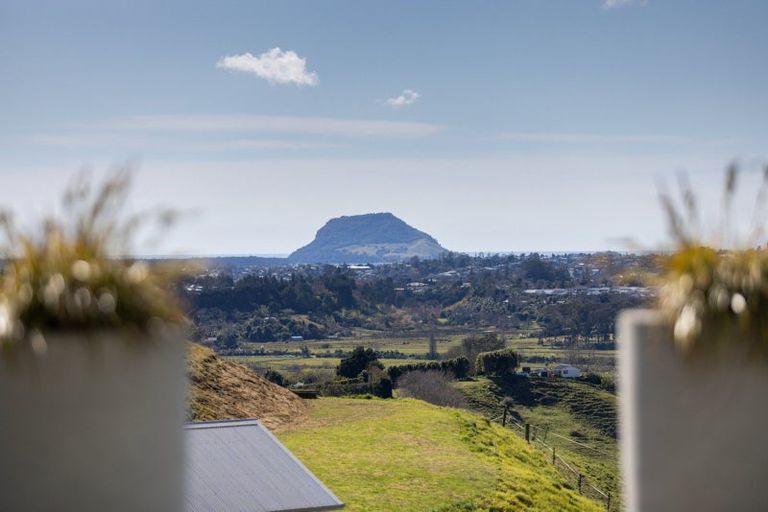Photo of property in 79d Crawford Road, Minden, Tauranga, 3171