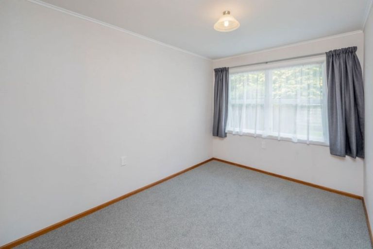 Photo of property in 118 Weraroa Road, Levin, 5510
