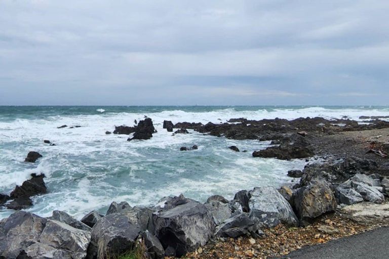 Photo of property in 10a Rarangi Way, Owhiro Bay, Wellington, 6023