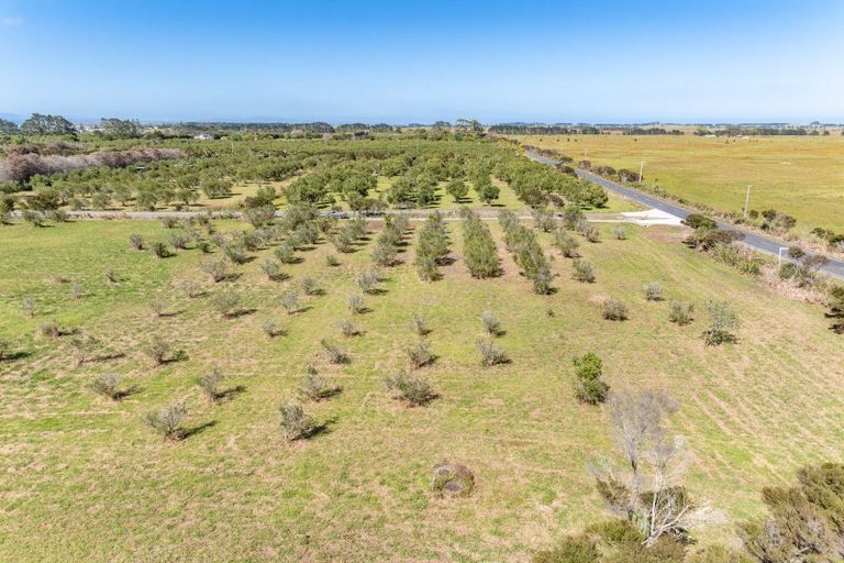 Photo of property in 1426a Inland Road, Karikari Peninsula, 0483