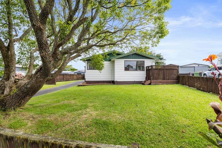 Photo of property in 68 Young Street, Morrinsville, 3300