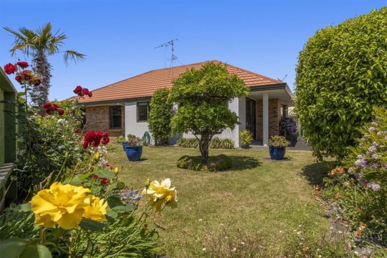 Photo of property in 169c Maungatapu Road, Maungatapu, Tauranga, 3112