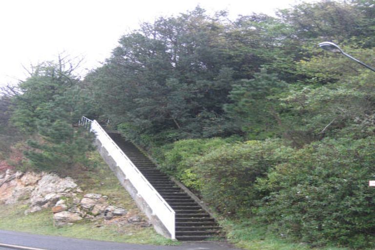 Photo of property in 1 Saint Abbs Place, North Dunedin, Dunedin, 9016