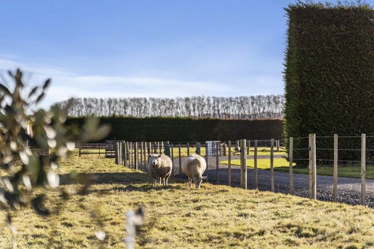 Photo of property in 15 Greenfields Lane, Te Teko, Whakatane, 3193