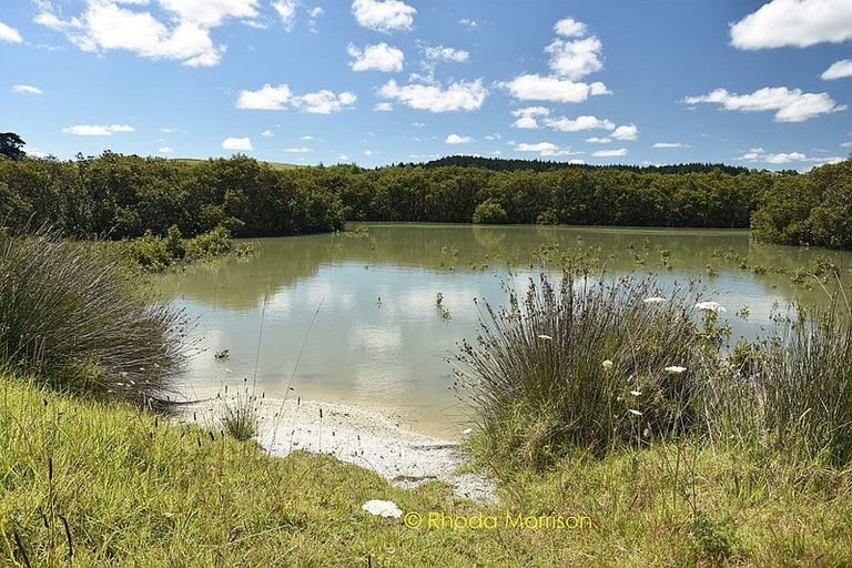 Photo of property in 1 Matahehe Lane, Tinopai, 0593