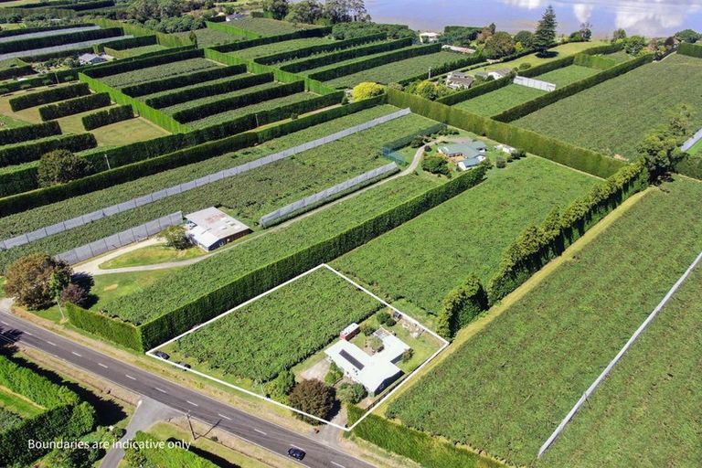 Photo of property in 186 Beach Road, Katikati, 3178