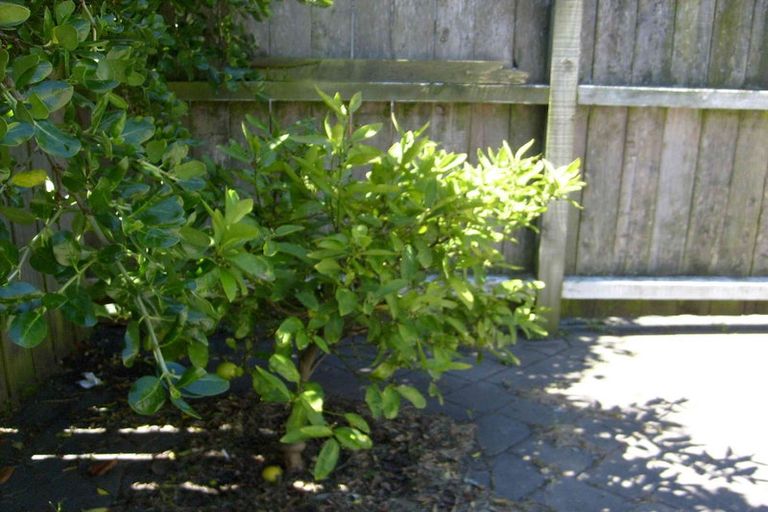 Photo of property in 104 Webb Street, Te Aro, Wellington, 6011