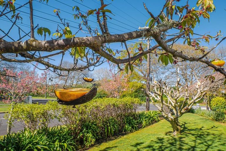 Photo of property in 239 Somme Parade, Aramoho, Whanganui, 4500