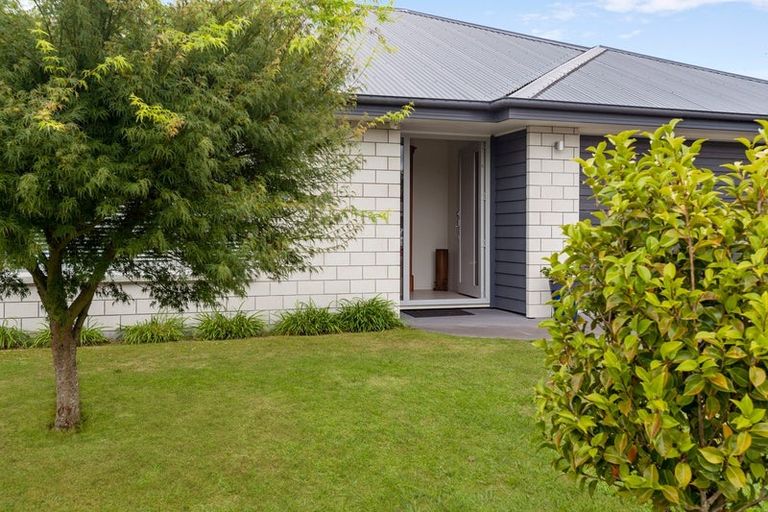 Photo of property in 25 Mckenzie Place, Matamata, 3400