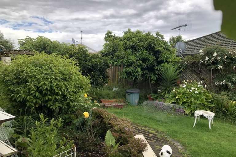 Photo of property in 6 Waylen Place, Burswood, Auckland, 2013