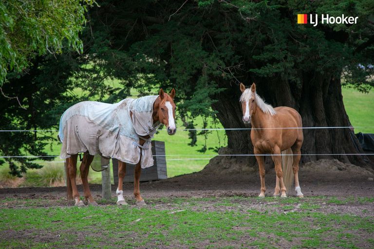 Photo of property in 16 Woodside Road, Woodside, Outram, 9073