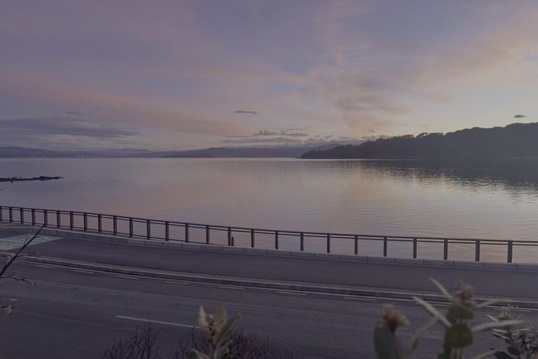 Photo of property in 62 Evans Bay Parade, Roseneath, Wellington, 6021