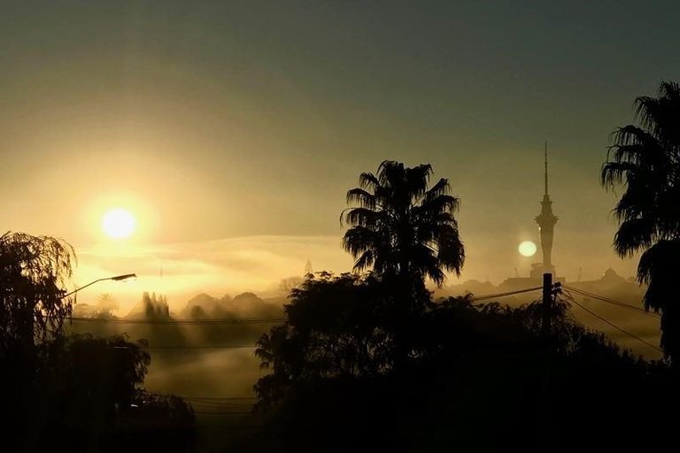 Photo of property in 93/59 Sackville Street, Grey Lynn, Auckland, 1021