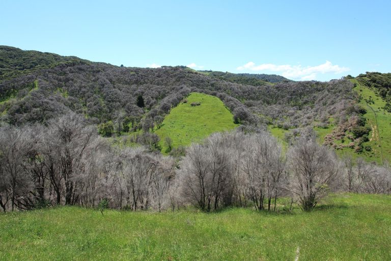 Photo of property in 945 Te Papatapu Road, Raglan, Te Mata, 3894