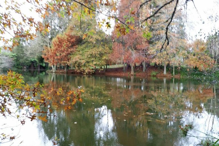 Photo of property in 29 Aldridge Road, Hunua, Papakura, 2583