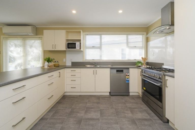 Photo of property in 20 Newhaven Place, Roslyn, Palmerston North, 4414