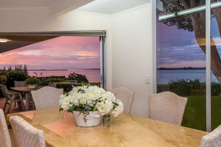 Photo of property in 41 Woods Avenue, Matua, Tauranga, 3110