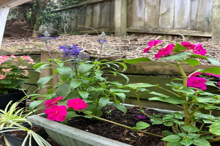 Photo of property in 34 Vinewood Drive, Albany, Auckland, 0632