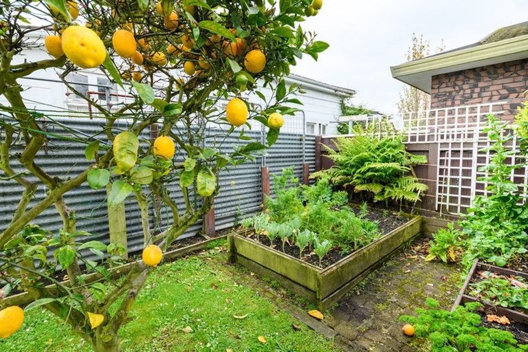 Photo of property in 4 Mcarthur Street, Terrace End, Palmerston North, 4410
