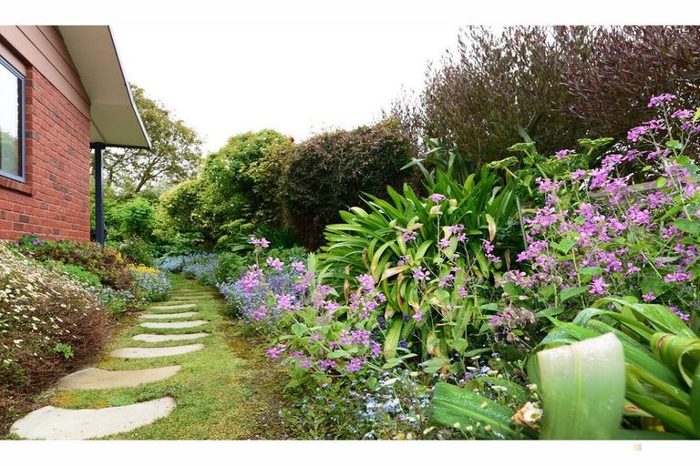 Photo of property in 8 Butchers Lane, Waimate, 7924