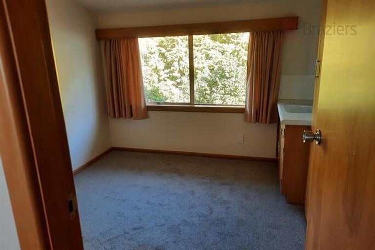 Photo of property in 9 Fisher Avenue, Beckenham, Christchurch, 8023