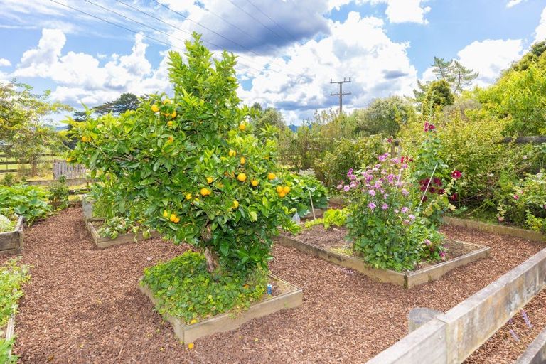 Photo of property in 19 Karakariki Valley Road, Whatawhata, Hamilton, 3289