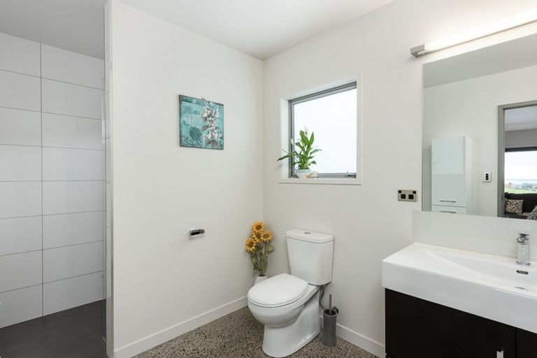 Photo of property in 314 Ross Road, Whakamarama, Tauranga, 3179