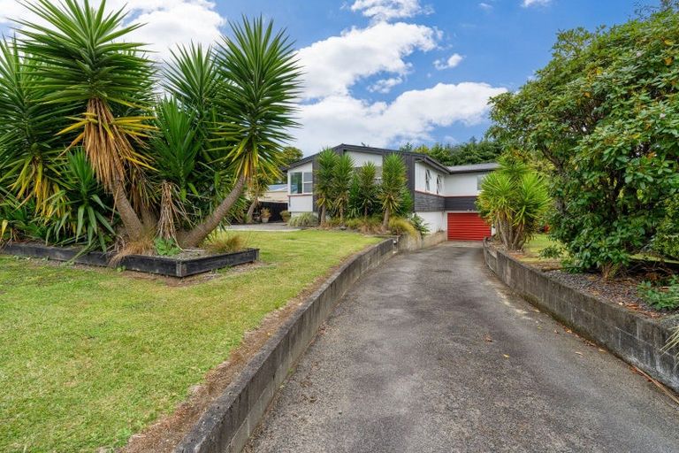 Photo of property in 255 Cambridge Street, Levin, 5510