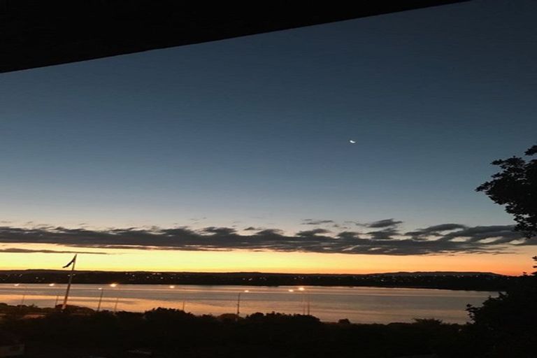 Photo of property in 8/14 Williams Street, Tauranga, 3110