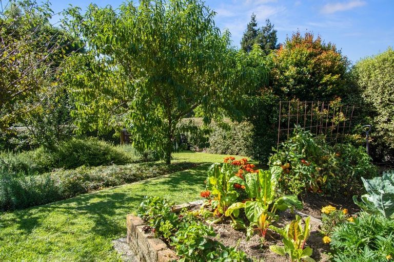 Photo of property in 13 Norrie Place, Putaruru, 3411