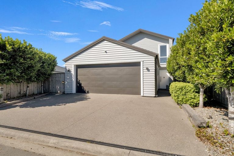 Photo of property in 19 Tangiwai Street, Pegasus, 7612