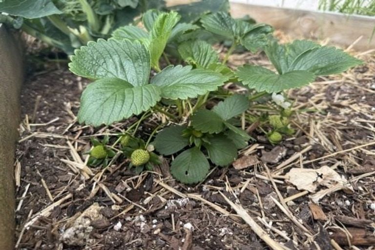 Photo of property in 168 Navigation Drive, Whitby, Porirua, 5024