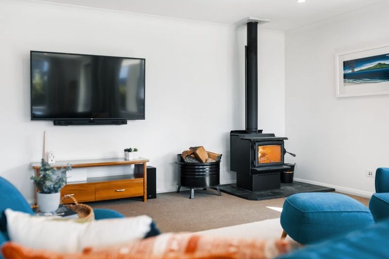 Photo of property in 20 Perriam Place, Mount Pisa, Cromwell, 9383