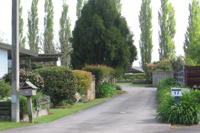 Photo of property in 19 Titoki Street, Matamata, 3400