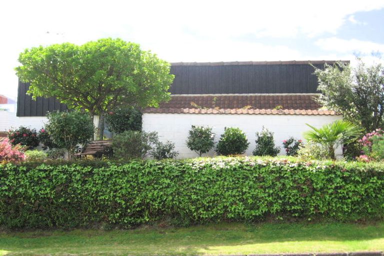 Photo of property in 27 Vine Avenue, Maungatapu, Tauranga, 3112