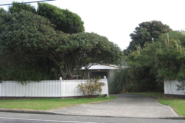 Photo of property in 217 Rosetta Road, Raumati South, Paraparaumu, 5032