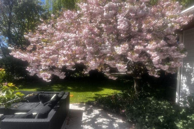 Photo of property in 62 East Belt, Rangiora, 7400