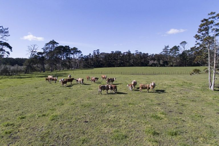 Photo of property in 43 Motu Road, Kumeu, 0891