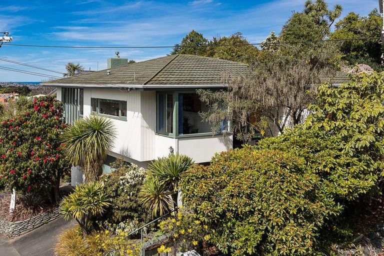 Photo of property in 26 Melrose Street, Roslyn, Dunedin, 9010