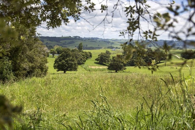 Photo of property in 132 Poyner Road, Ararua, Matakohe, 0594