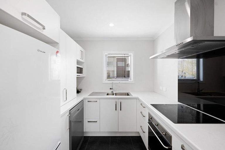 Photo of property in 66 Tennille Street, Flagstaff, Hamilton, 3210