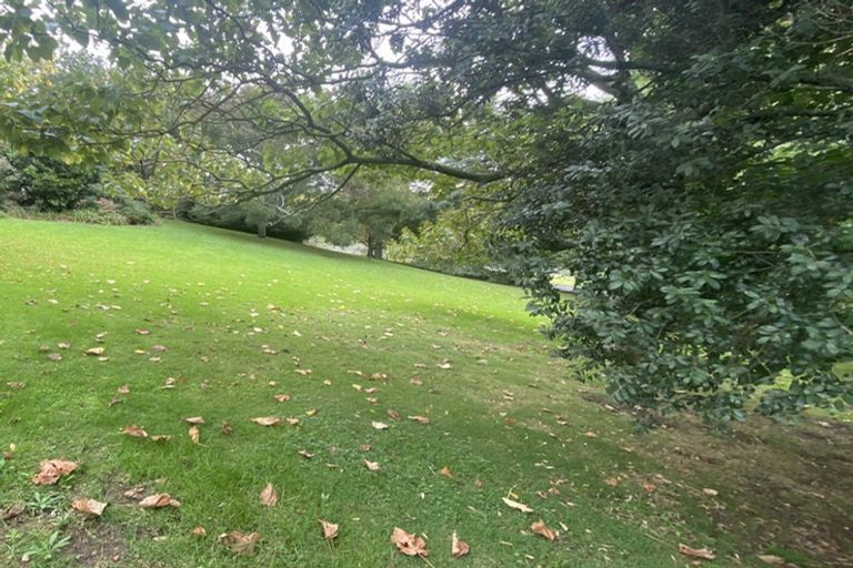 Photo of property in 111 Hastings Road, Pyes Pa, Tauranga, 3112