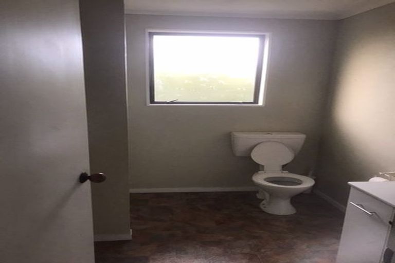 Photo of property in 74b Campbell Road, Mount Maunganui, 3116