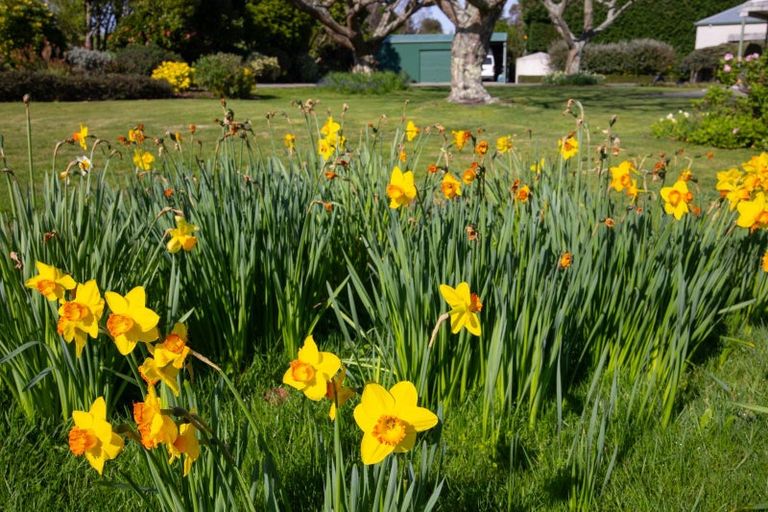 Photo of property in 521 Pohangina Road, Pohangina, Ashhurst, 4884