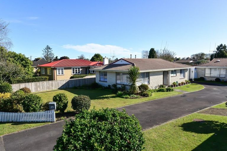 Photo of property in 229a Clarkin Road, Fairfield, Hamilton, 3214