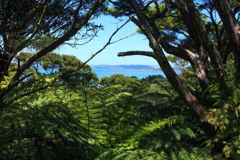 Photo of property in 945 Te Papatapu Road, Raglan, Te Mata, 3894